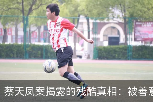 蔡天凤案揭露的残酷真相：被善意绑架的悲剧